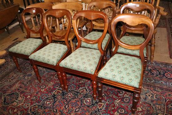 6 Victorian mahogany dining chairs(-)